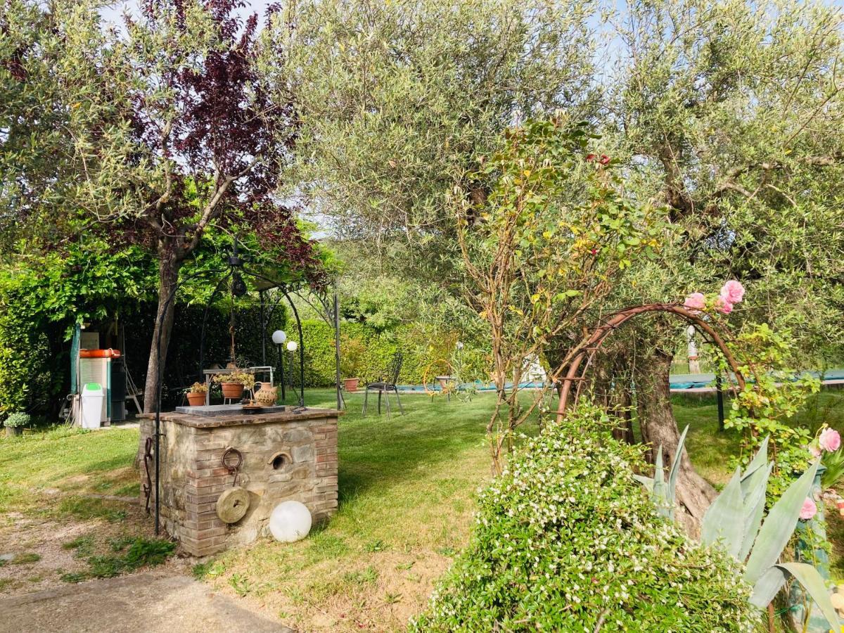 Le Coccole Del Trasimeno Guest House Tuoro sul Trasimeno Exterior foto
