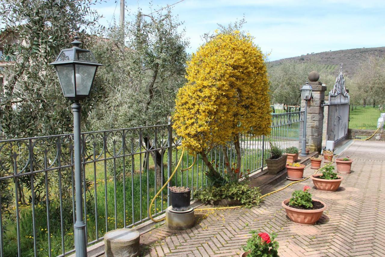 Le Coccole Del Trasimeno Guest House Tuoro sul Trasimeno Exterior foto