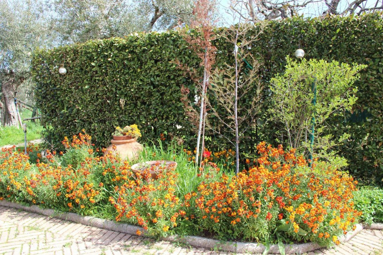 Le Coccole Del Trasimeno Guest House Tuoro sul Trasimeno Exterior foto