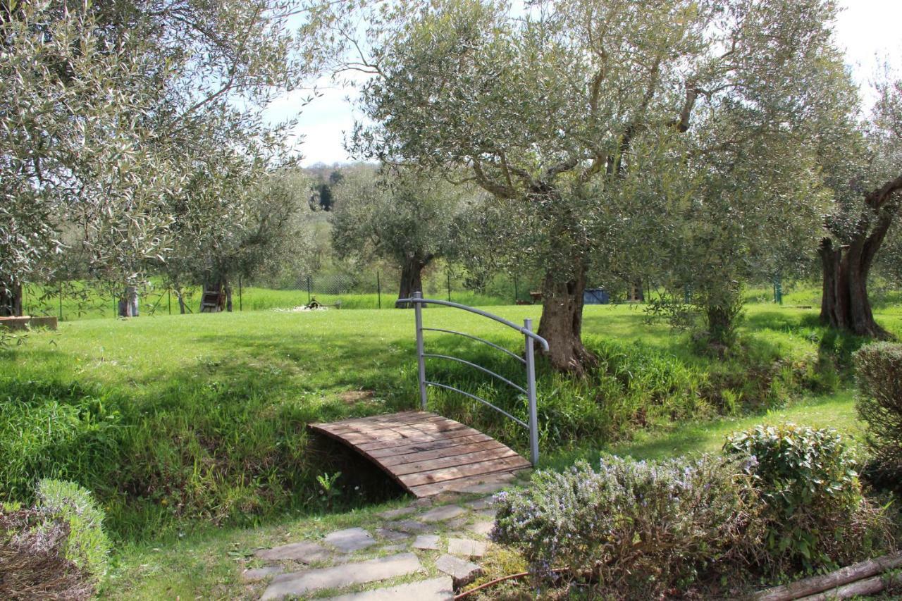 Le Coccole Del Trasimeno Guest House Tuoro sul Trasimeno Exterior foto