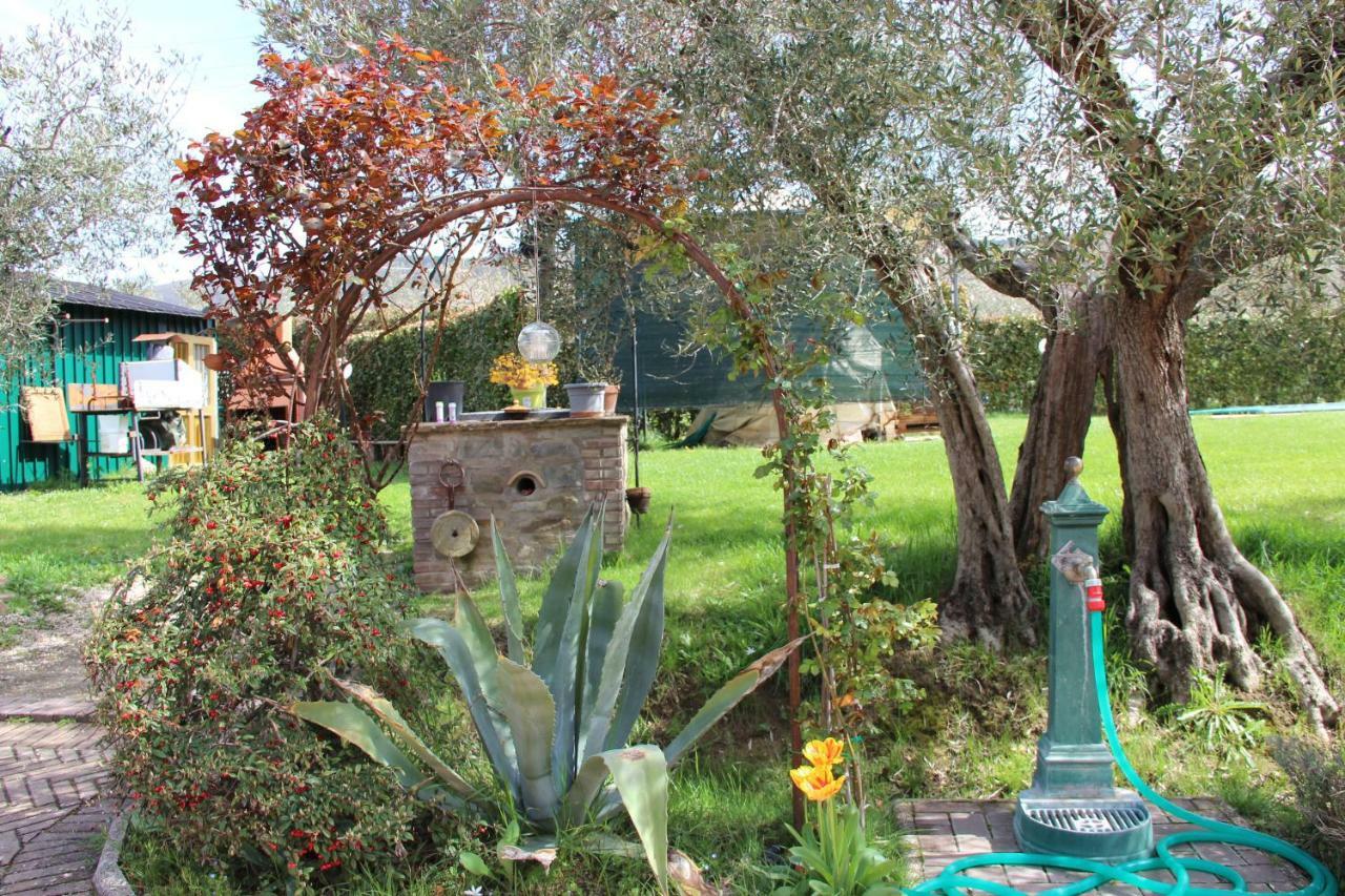 Le Coccole Del Trasimeno Guest House Tuoro sul Trasimeno Exterior foto