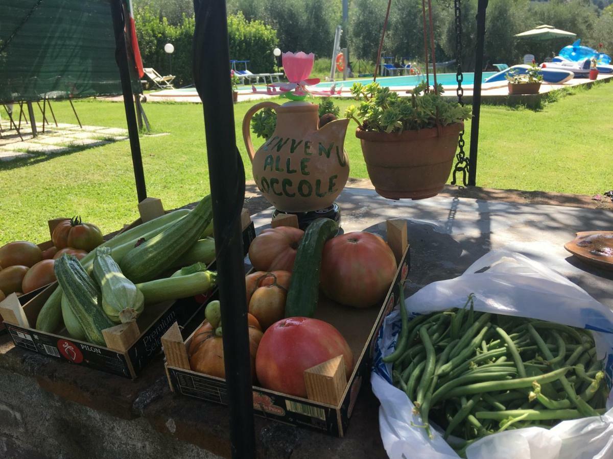 Le Coccole Del Trasimeno Guest House Tuoro sul Trasimeno Exterior foto