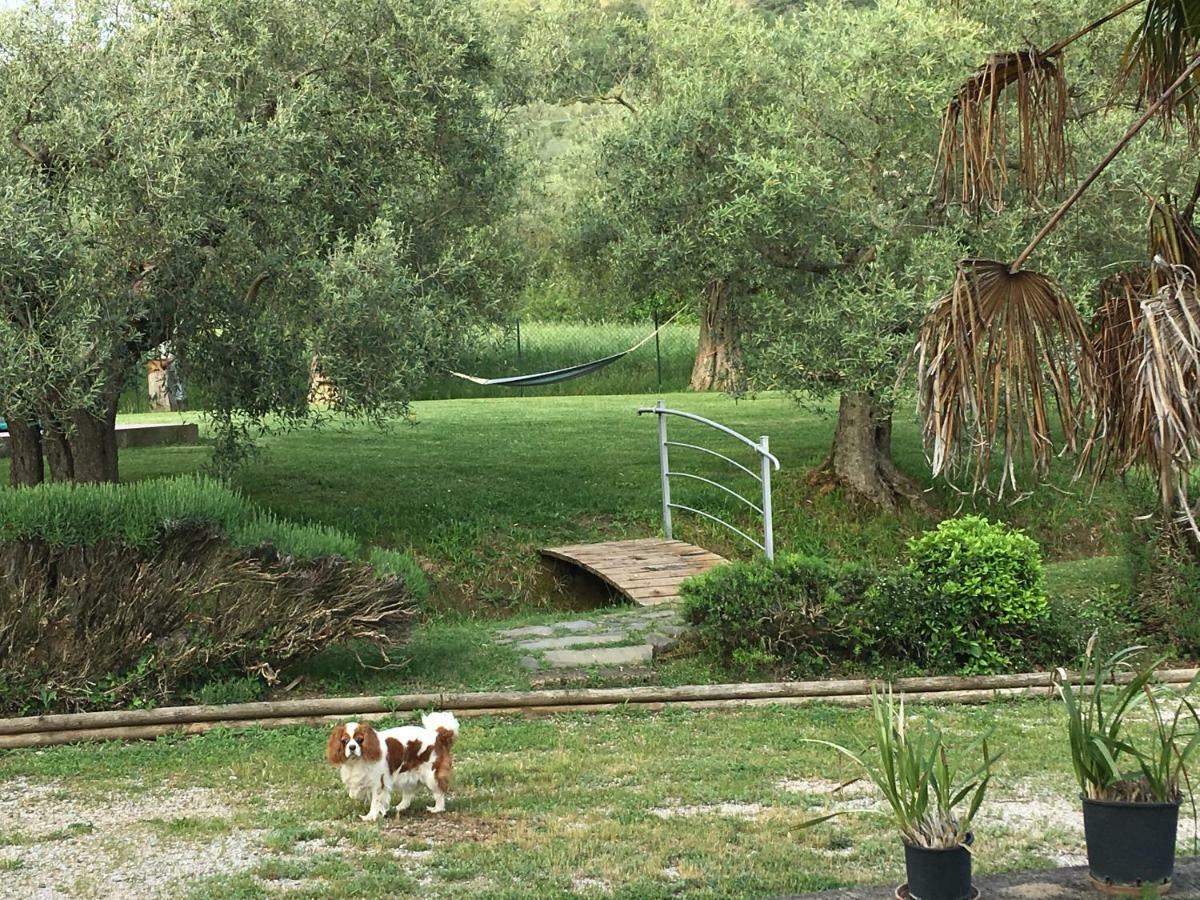 Le Coccole Del Trasimeno Guest House Tuoro sul Trasimeno Exterior foto